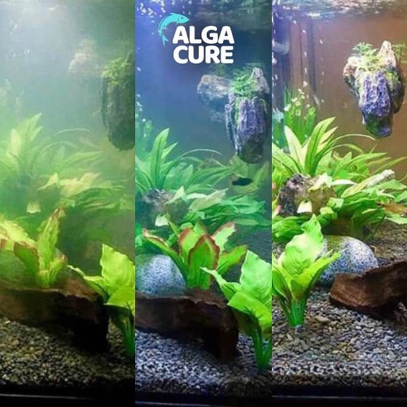 Čistilo za akvarij AlgaCure