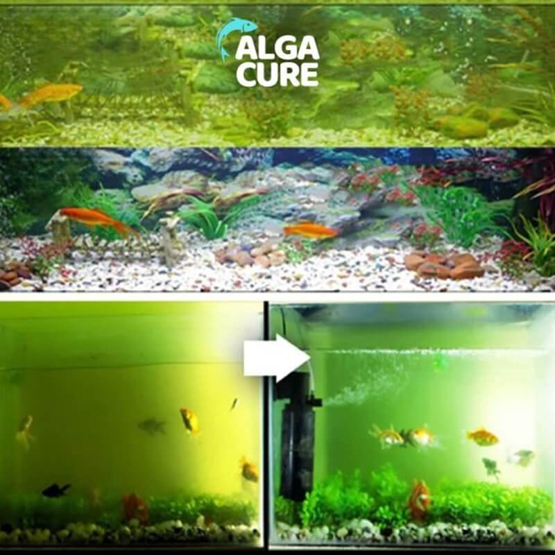 Čistilo za akvarij AlgaCure