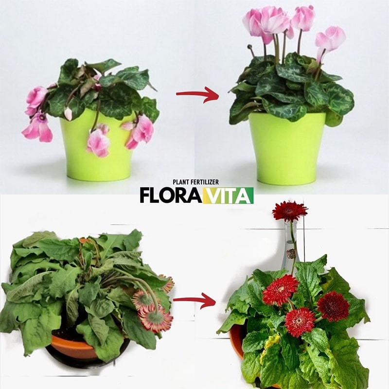 Gnojilo za rastline Floravita