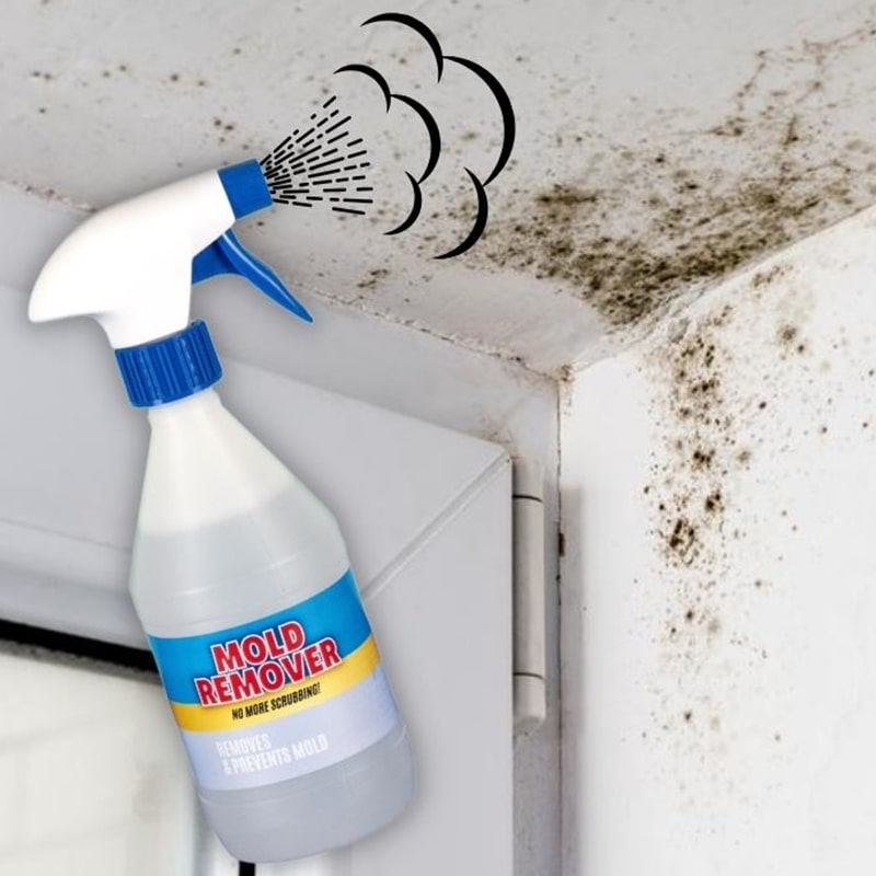 Sprej za preprečevanje plesni Mold Remover