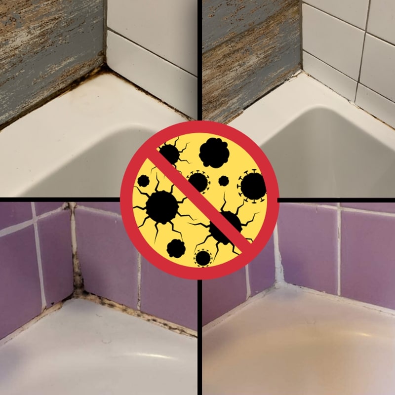 Sprej za preprečevanje plesni Mold Remover
