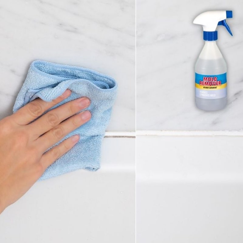 Sprej za preprečevanje plesni Mold Remover